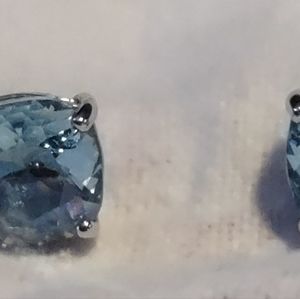 Origami owl earrings